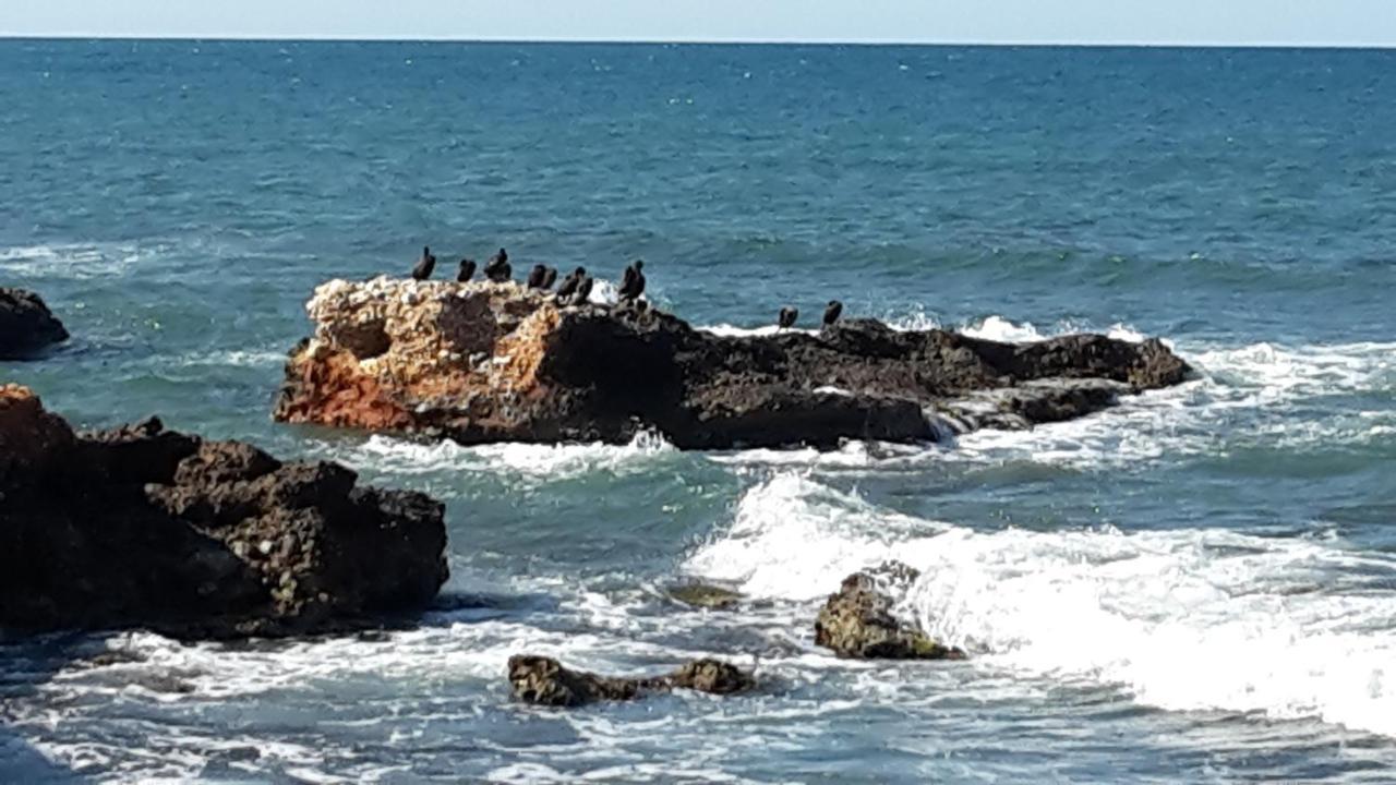 Precioso Sur Y Norte Cerca Playa Y Centro - Cascadas De La Marina Appartement