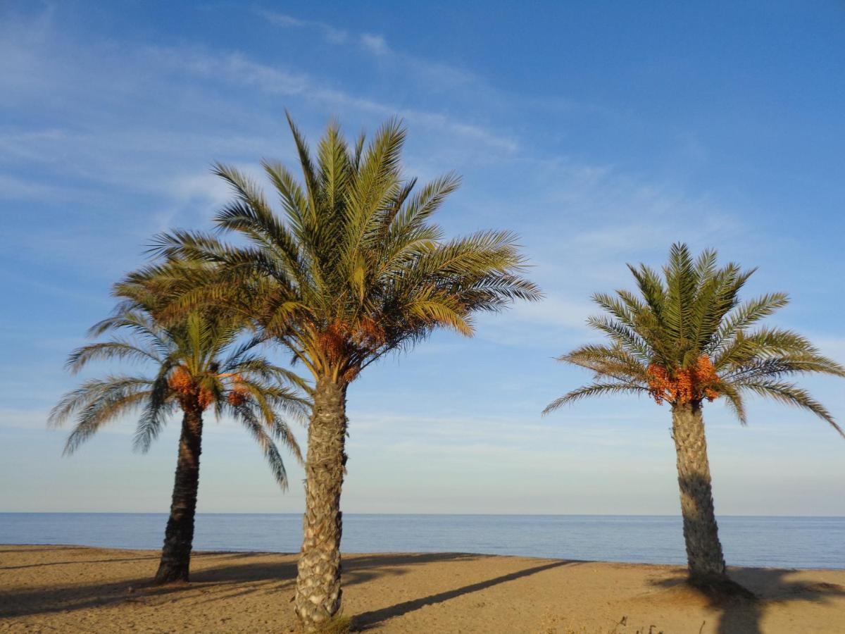 Precioso Sur Y Norte Cerca Playa Y Centro - Cascadas De La Marina *